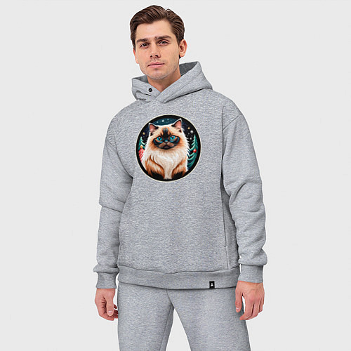 Мужской костюм оверсайз Гималайский кот ждет Новый Год / Меланж – фото 3