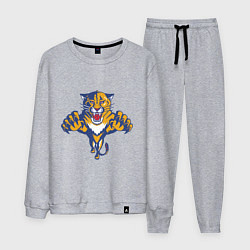Костюм хлопковый мужской Florida Panthers, цвет: меланж