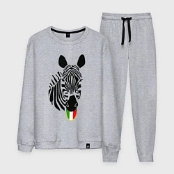 Мужской костюм Juventus Zebra