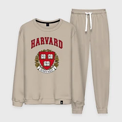 Мужской костюм Harvard university