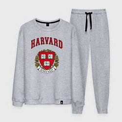 Костюм хлопковый мужской Harvard university, цвет: меланж