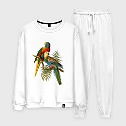 Мужской костюм Тропические попугаи