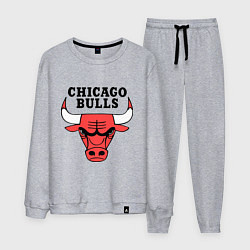 Мужской костюм Chicago Bulls