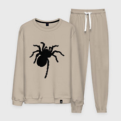 Костюм хлопковый мужской Черный паук, цвет: миндальный