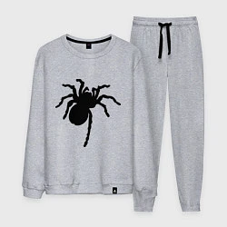 Костюм хлопковый мужской Черный паук, цвет: меланж
