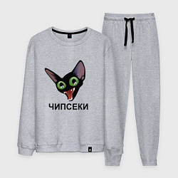 Костюм хлопковый мужской Чипсеки: кот-мем, цвет: меланж