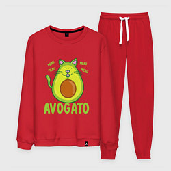 Мужской костюм AVOGATO