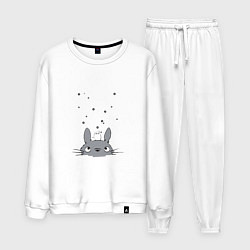 Мужской костюм Любопытный Тоторо и Сажа