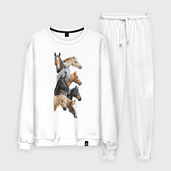 Мужской костюм Лошади