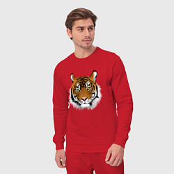 Костюм хлопковый мужской Тигр, цвет: красный — фото 2