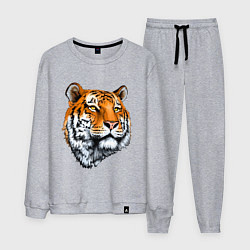 Мужской костюм Тигр