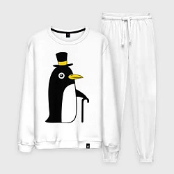Мужской костюм Пингвин в шляпе