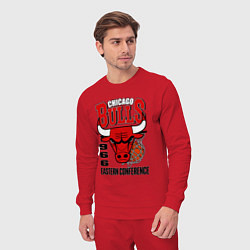 Костюм хлопковый мужской Chicago Bulls NBA, цвет: красный — фото 2