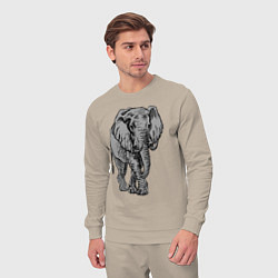 Костюм хлопковый мужской Огромный могучий слон, цвет: миндальный — фото 2