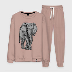 Костюм хлопковый мужской Огромный могучий слон, цвет: пыльно-розовый