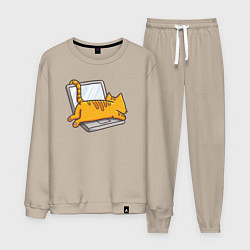 Мужской костюм Котик лежит на ноутбуке