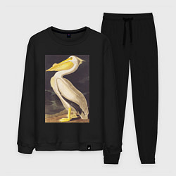 Костюм хлопковый мужской American White Pelican Пеликан, цвет: черный