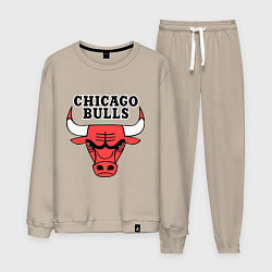 Костюм хлопковый мужской Chicago Bulls, цвет: миндальный