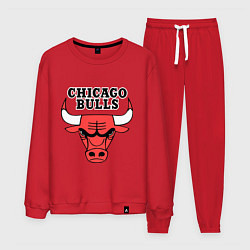 Мужской костюм Chicago Bulls