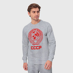 Костюм хлопковый мужской Герб СССР: Советский союз, цвет: меланж — фото 2
