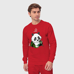 Костюм хлопковый мужской Спящая панда ZZZ, цвет: красный — фото 2