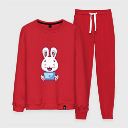 Костюм хлопковый мужской Весёлый кролик, цвет: красный