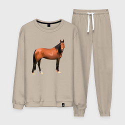 Костюм хлопковый мужской Теплокровная лошадка, цвет: миндальный