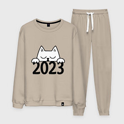 Мужской костюм Cat 2023