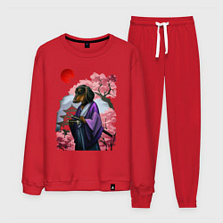 Мужской костюм Такса-Самурай весенняя на фоне сакуры