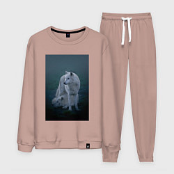 Костюм хлопковый мужской Арктические волки, цвет: пыльно-розовый