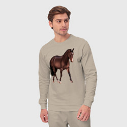 Костюм хлопковый мужской Австралийская пастушья лошадь, цвет: миндальный — фото 2
