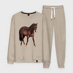 Костюм хлопковый мужской Австралийская пастушья лошадь, цвет: миндальный
