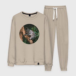 Костюм хлопковый мужской Коала уснула, цвет: миндальный