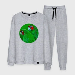 Костюм хлопковый мужской Два зелёных попугая, цвет: меланж