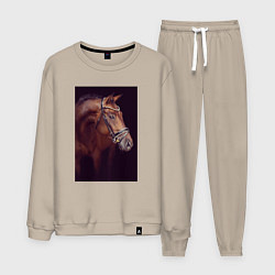Костюм хлопковый мужской Лошадь во всей красе, цвет: миндальный