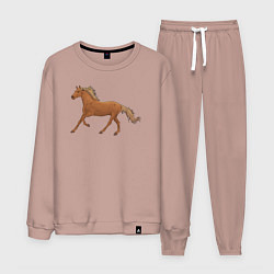 Костюм хлопковый мужской Конь бежит, цвет: пыльно-розовый