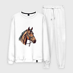 Мужской костюм Коняка скакуняка