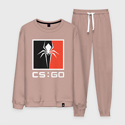 Костюм хлопковый мужской CS spider, цвет: пыльно-розовый