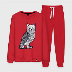 Мужской костюм Кошка сова