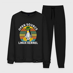 Мужской костюм Пингвин ядро линукс