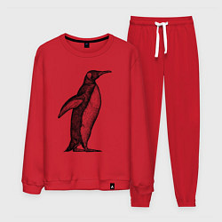 Костюм хлопковый мужской Пингвин сбоку, цвет: красный