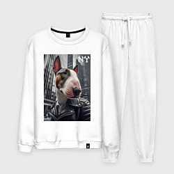 Мужской костюм Dude bull terrier in New York - ai art