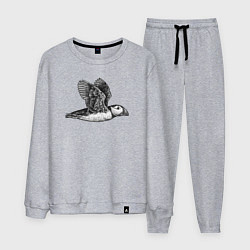 Костюм хлопковый мужской Тупик летит, цвет: меланж
