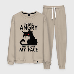 Мужской костюм I am not angry cat