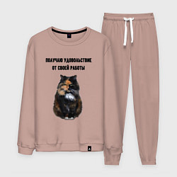 Костюм хлопковый мужской Удовольствие от работы, цвет: пыльно-розовый