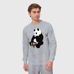 Костюм хлопковый мужской Панда с кубиком, цвет: меланж — фото 2