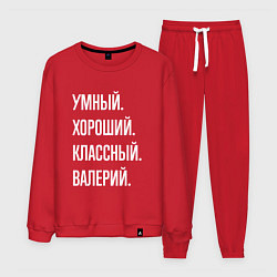 Мужской костюм Умный хороший классный Валерий