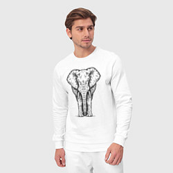 Костюм хлопковый мужской Слон анфас, цвет: белый — фото 2