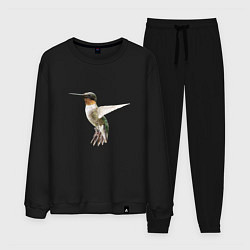 Костюм хлопковый мужской Рубиновогорлый колибри, цвет: черный