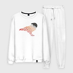 Мужской костюм Crow